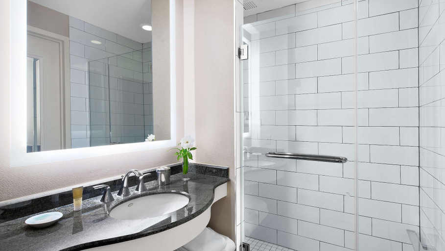 Bathroom 5, Hyatt Regency Valencia, Los Angeles
