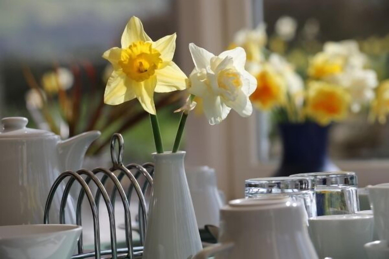 Food & Drinks 4, Link House, Cumbria