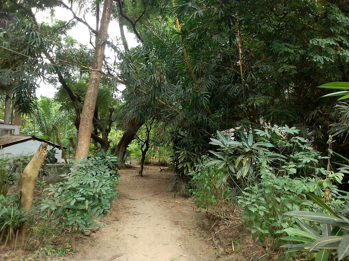 Others 3, Campement Kunja kafountine, Bignona