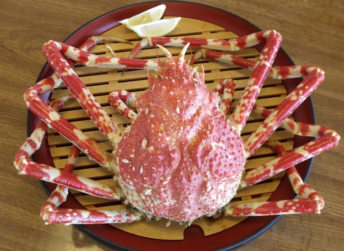 Food & Drinks 5, Calmbase Nishiizu NEO, Numazu