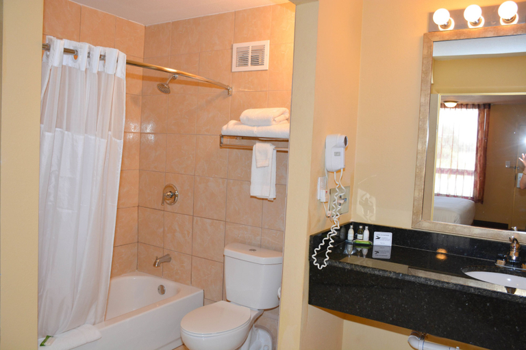 Bathroom 4, Grand Hotel Orlando at Universal Blvd - Shuttle to Theme Parks, Orange