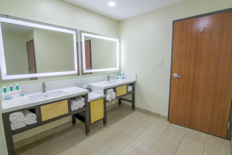Bathroom 3, Holiday Inn Express & Suites RAYMONDVILLE, Willacy