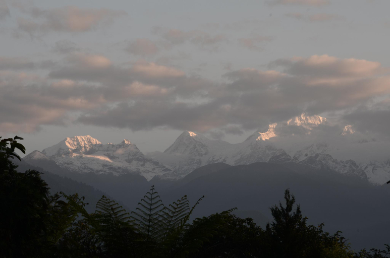 Others 4, Ifseen Villa, West Sikkim