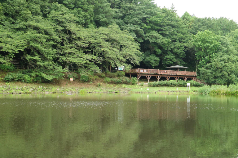 Nearby Landmark