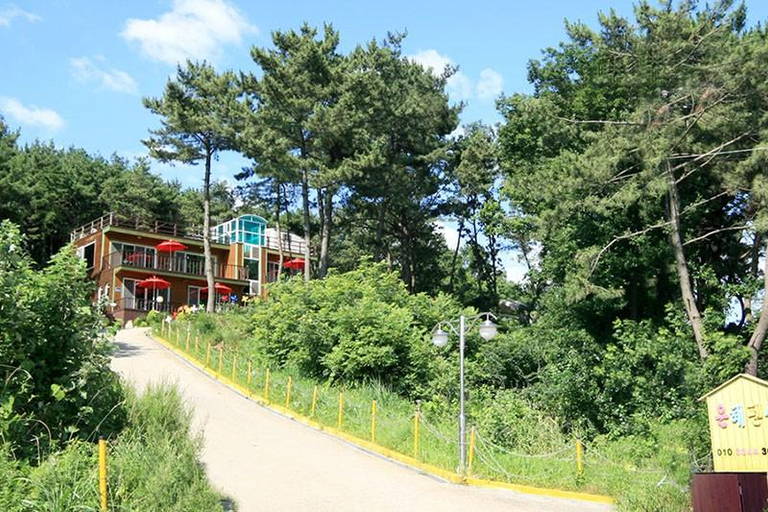 Others 5, Ongjin (Shindo) Eunhye Pension, Ongjin