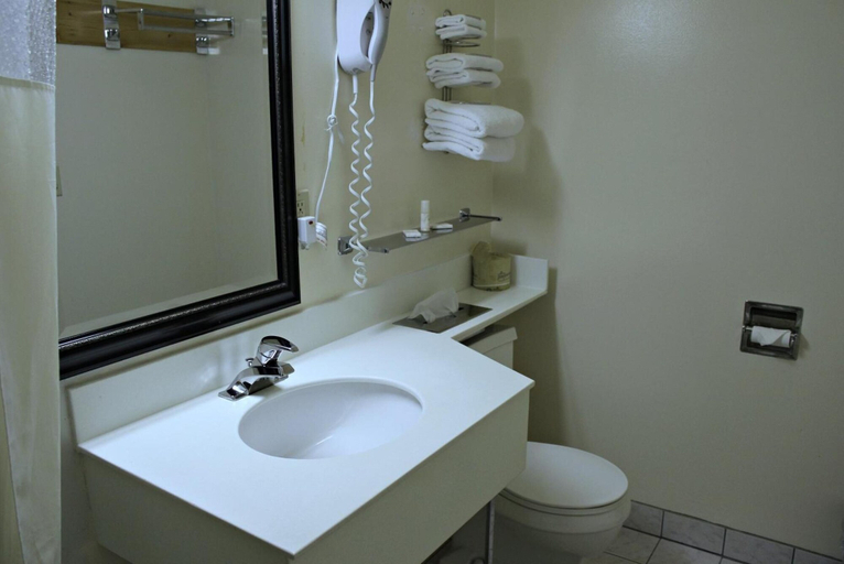 Bathroom 4, Budget Inn Farmington, Ontario