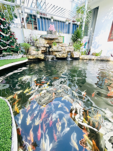 Sport & Beauty, Sen Hong Apartment & Beer Garden, Da Nang