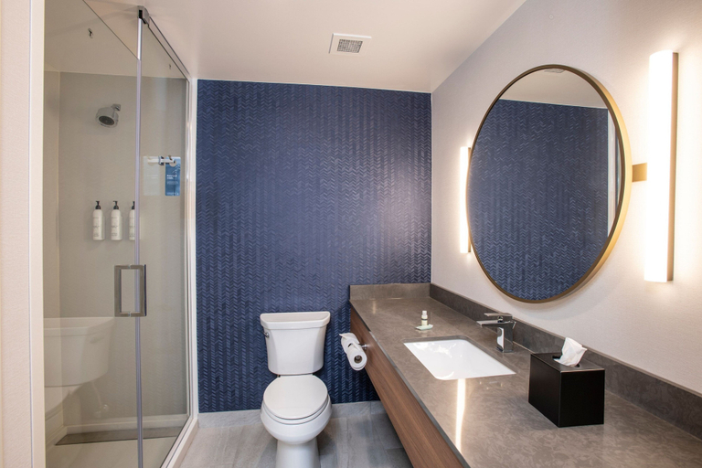 Bathroom 4, Fairfield by Marriott Inn & Suites Newport Cincinnati, Campbell