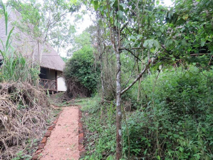 Others 4, Jungle lodge Kibale, Kibale