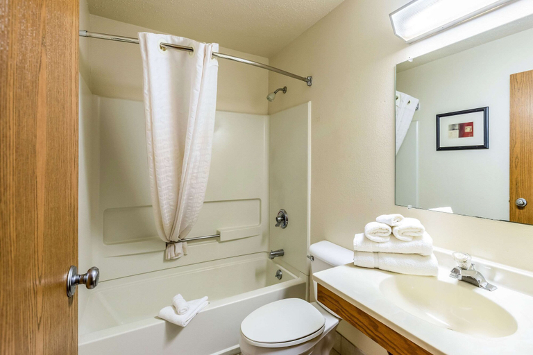 Bathroom 4, Econo Lodge Inn & Suites Auburn, Bay