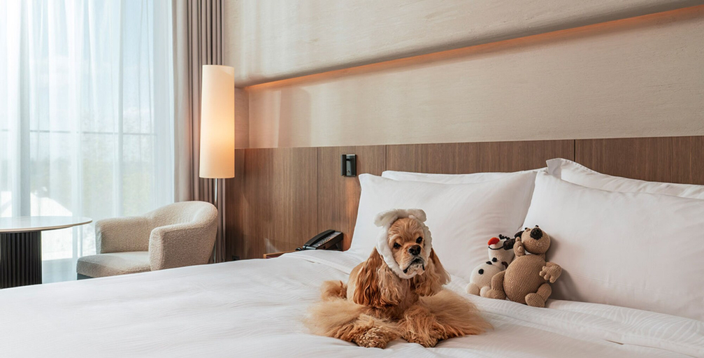Bedroom 3, CORALLO, Yangyang