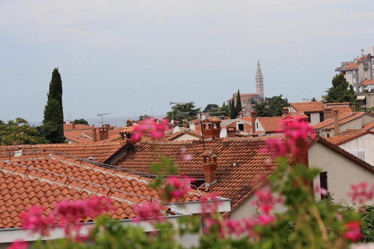 Others 5, Apartments Tanja, Rovinj