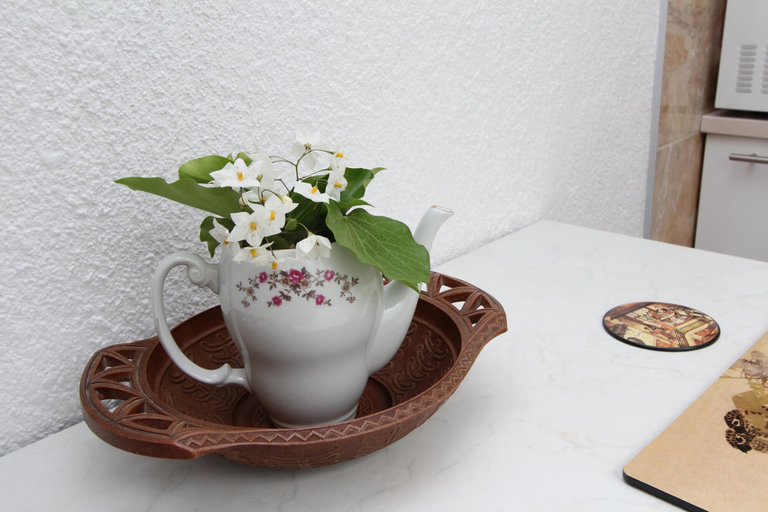 Food & Drinks, Studio Sea, Rovinj