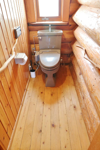 Bathroom, Log Cabin Izukogen, Itō