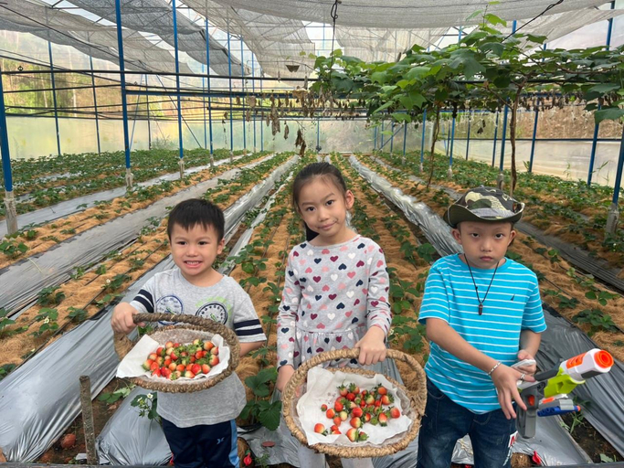 Food & Drinks 4, Lat Valley Lac Duong, Lạc Dương