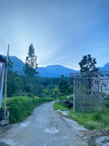 Others 5, Cerry Mountain Guci, Tegal