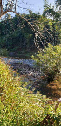 Forest Forest: little house by the river, Pua, Nan, Pua