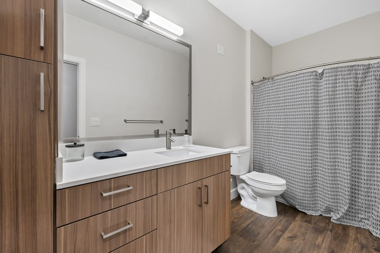 Bathroom 3, Platinum Suite Penthouse Suite The Gulch, Davidson