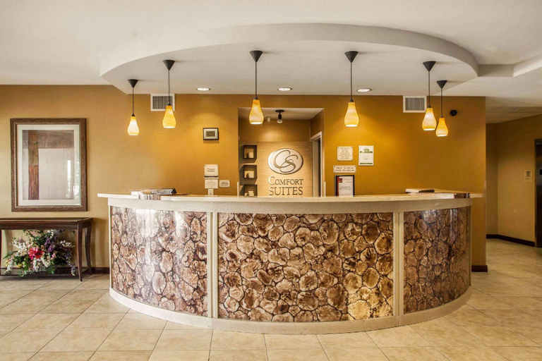 Public Area 2, Comfort Suites Bloomington I-55 and I-74, McLean
