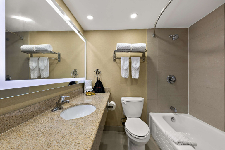 Bathroom 4, Best Western Plus Toronto North York Hotel & Suites, Toronto