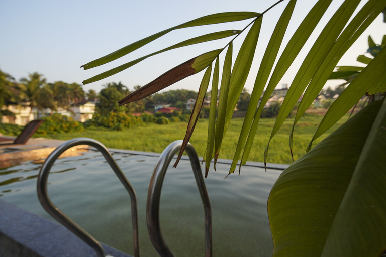 Others 4, Apricus Brisa Marina, South Goa