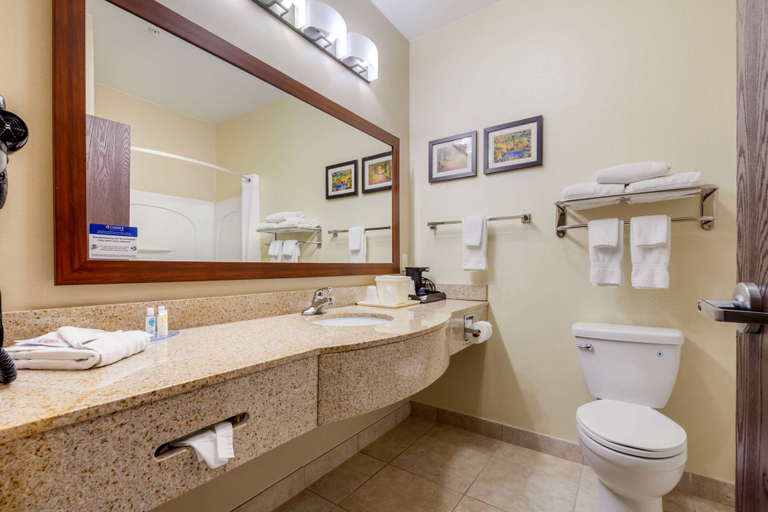 Bathroom 4, Comfort Inn Plover-Stevens Point, Portage