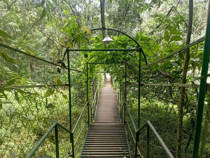 Others 5, Treehouse Wayanad, Wayanad