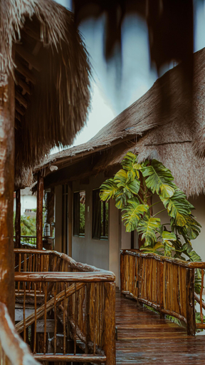 Exterior & Views 2, Casa Teka, Cozumel