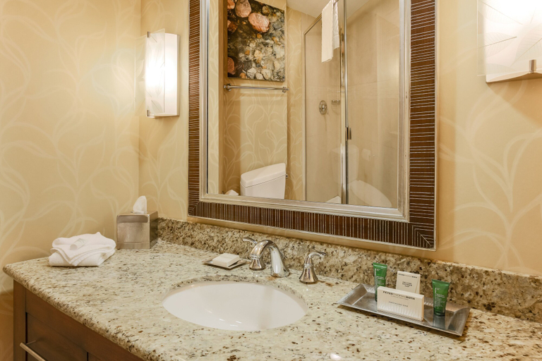 Bathroom 5, Hilton Branson Convention Center, Taney