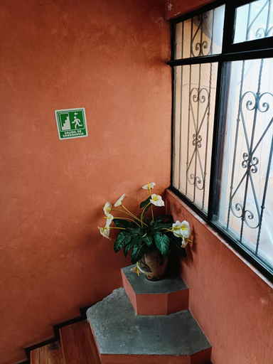 Others 4, HOTEL VIRREYNAL, Chignautla