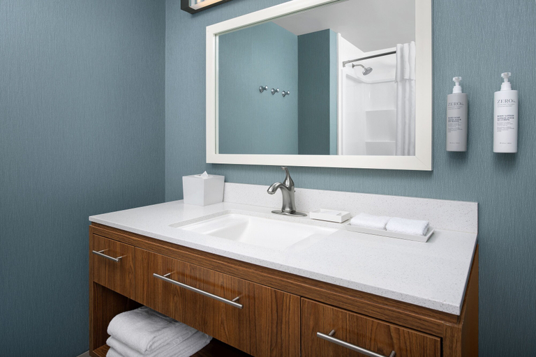 Bathroom 4, Home2 Suites by Hilton Tallahassee State Capitol, Leon