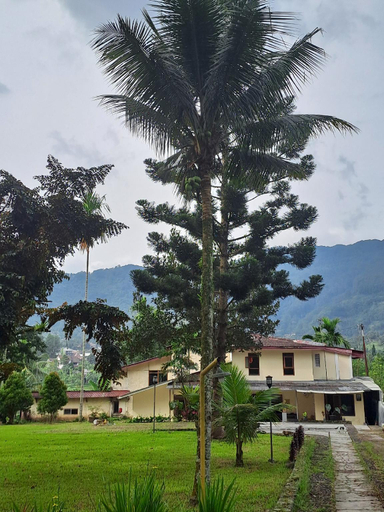 Others 4, Bens Boutique Homestay , Bogor