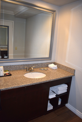 Bathroom 4, Best Western Moreno Hotel & Suites, Riverside