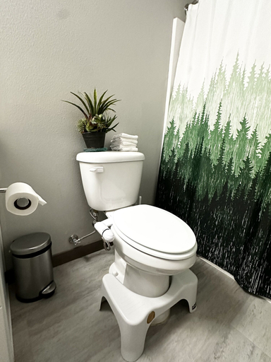 Bathroom 3, Central Tacoma Homestay -private room-, Pierce