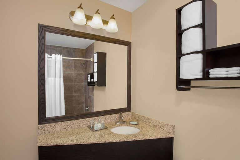 Bathroom 5, Wyndham Garden Schaumburg Chicago Northwest, Cook