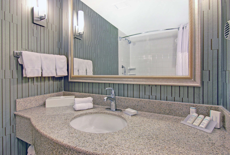Bathroom 5, Hilton Garden Inn Toronto Markham, York