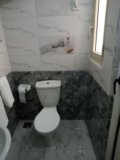Bathroom 4, sultan pyramids view, Al-Ahram