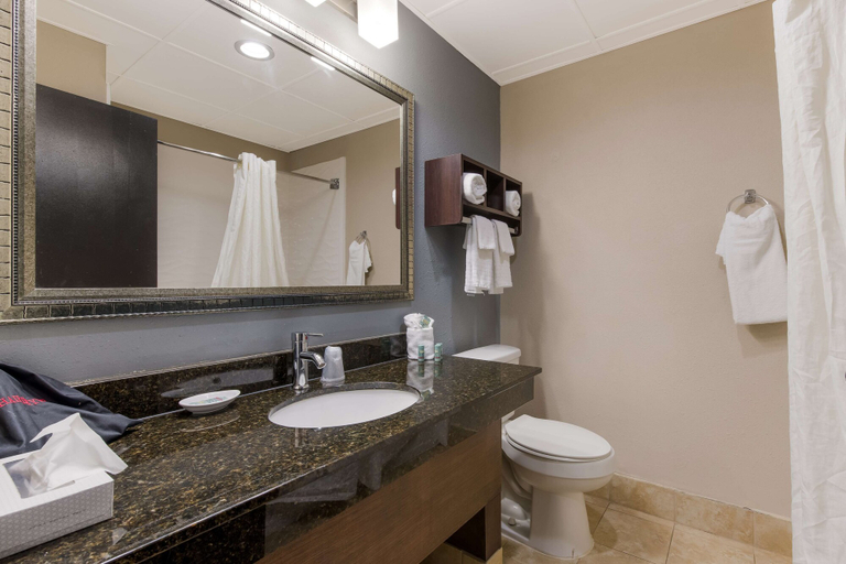 Bathroom 4, Best Western Albemarle Inn, Stanly