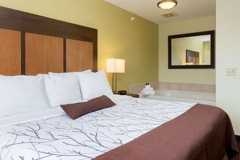 Bedroom 4, Comfort Inn Holland, Ottawa