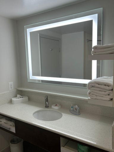 Bathroom 4, Comfort Inn Darien - North Brunswick, McIntosh