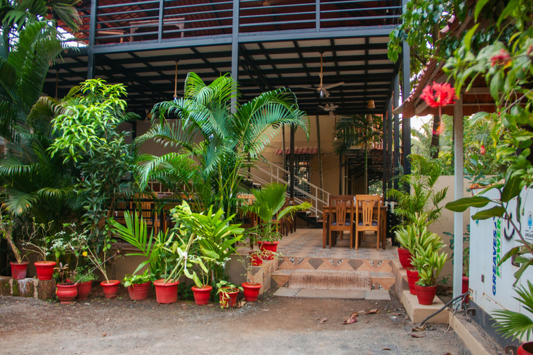 Others 1, Cuba Morjim, North Goa