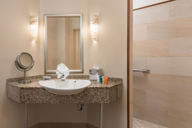 Bathroom 4, The Mansion On Delaware Ave, Erie