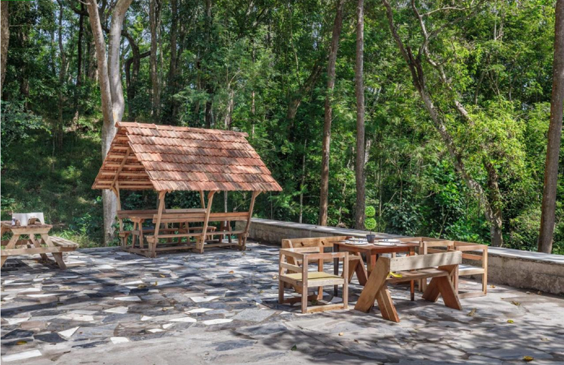 Food & Drinks 5, Jungle Stay by Bilwa Estate, Kodagu