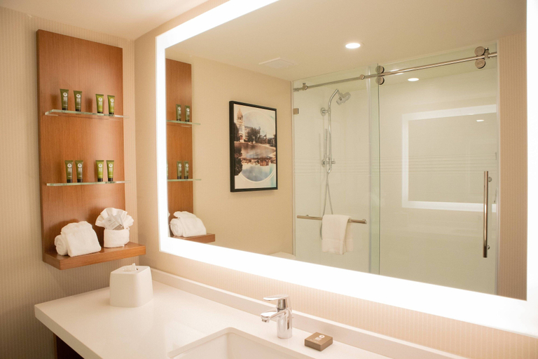 Bathroom 4, Delta Hotels by Marriott Allentown Lehigh Valley, Lehigh
