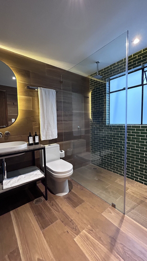 Bathroom 3, Casa Bis, Mexico City