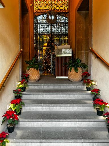 Exterior & Views, Casa H Hotel Boutique, San Luis Potosí