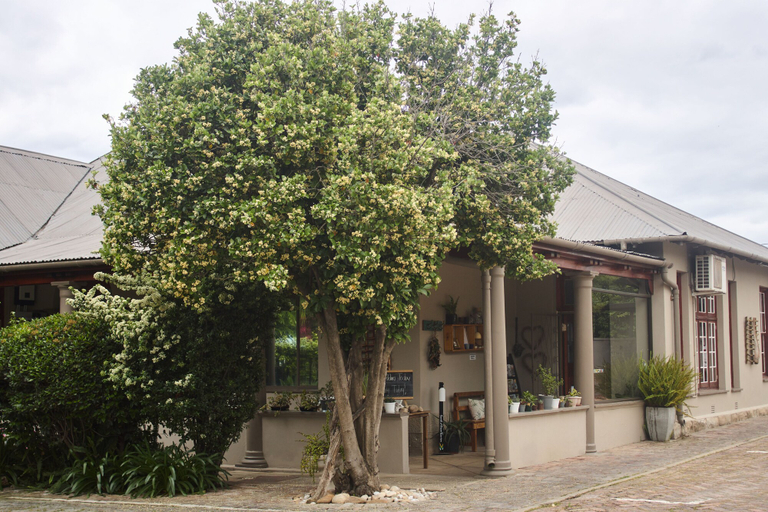 Exterior & Views 2, De Akker Guest House, Eden