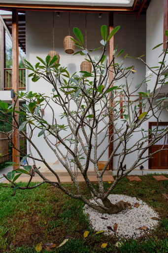Exterior & Views 2, Foresta Villa, Hang Dong