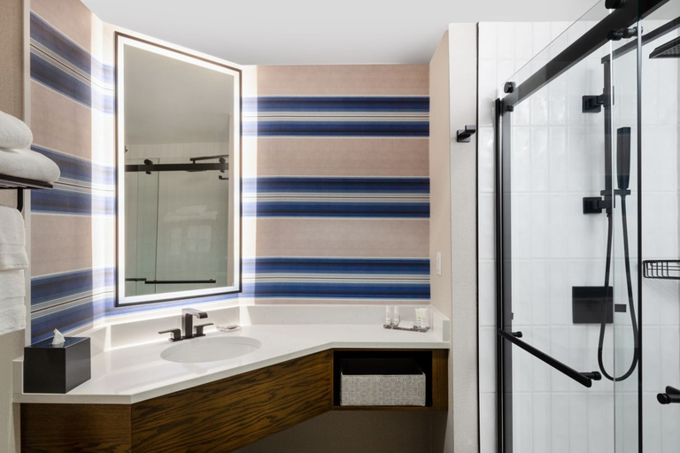 Bathroom 4, Austin Marriott South, Travis