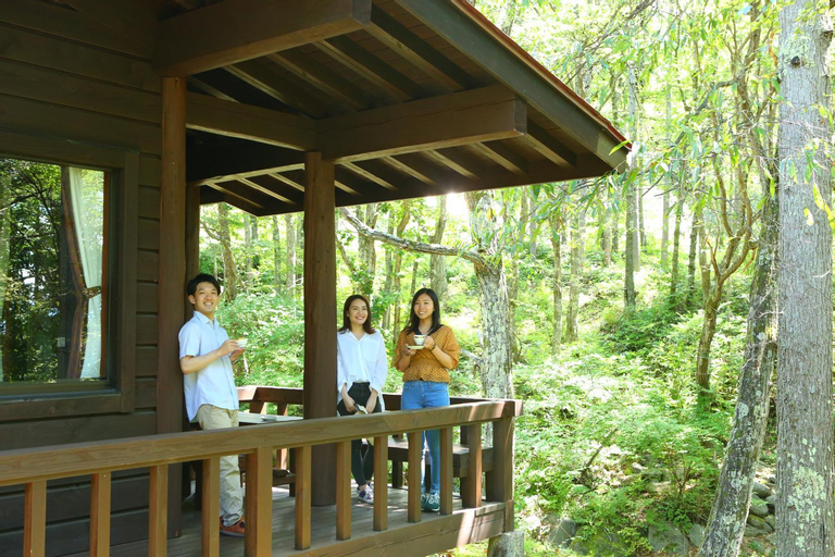 Scenery 5